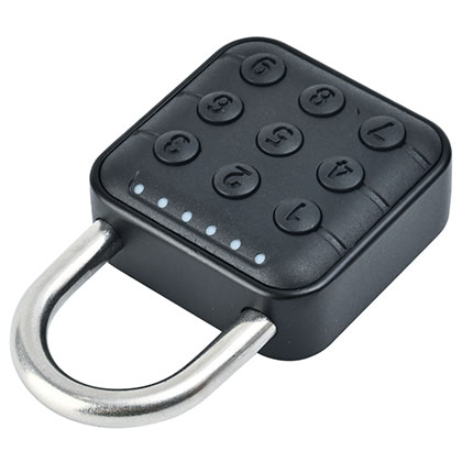 SY12 Fingerprint \ SY13 Password type