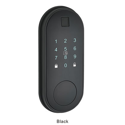 5021 Intelligent door lock series