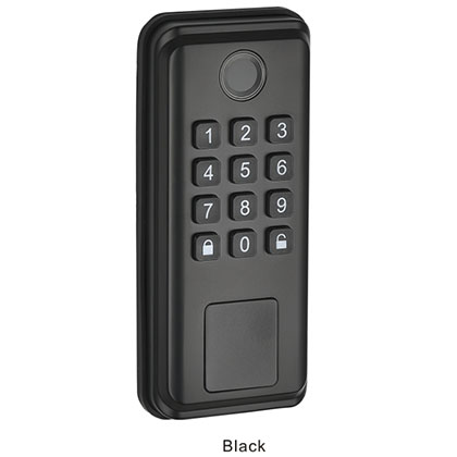 9011 Intelligent door lock series