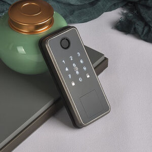 5051 Intelligent door lock series