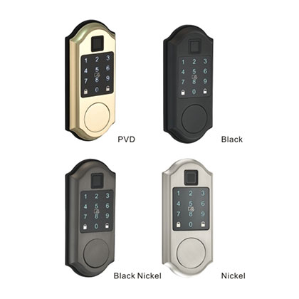 2031 Intelligent door lock series