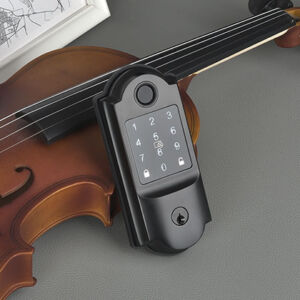 2071 Intelligent door lock series