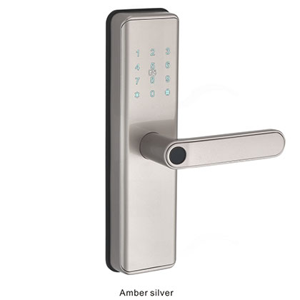 3031 Intelligent wooden door lock series