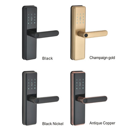 3031 Intelligent wooden door lock series