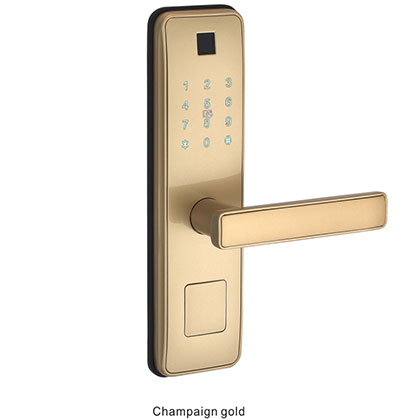 3011 Intelligent wooden door lock series