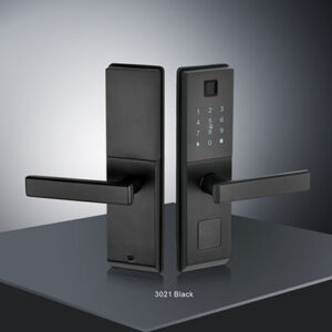 3021 Intelligent wooden door lock series