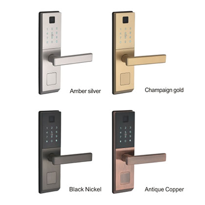 3021 Intelligent wooden door lock series