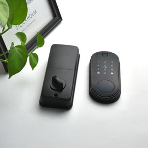 5021 Intelligent door lock series