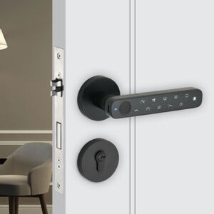 Intelligent wooden door lock series