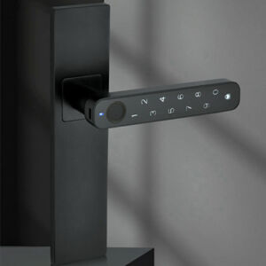Intelligent wooden door lock series